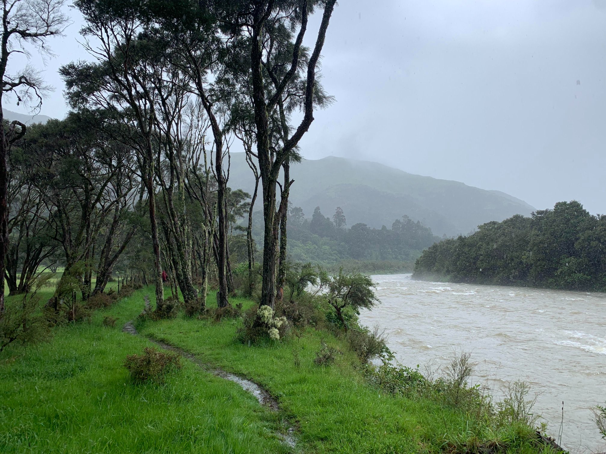 A walking track with pools of water runs alongside a flooded river in the hills